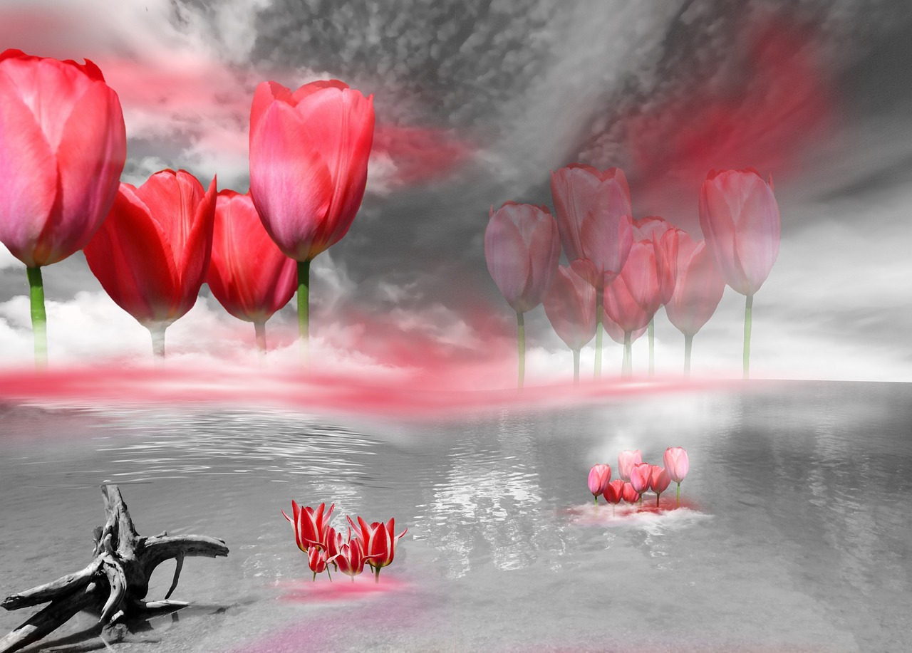 graphic tulips landscape free photo