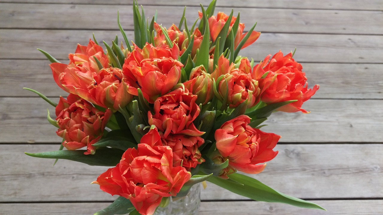 tulips bouquet flowers free photo