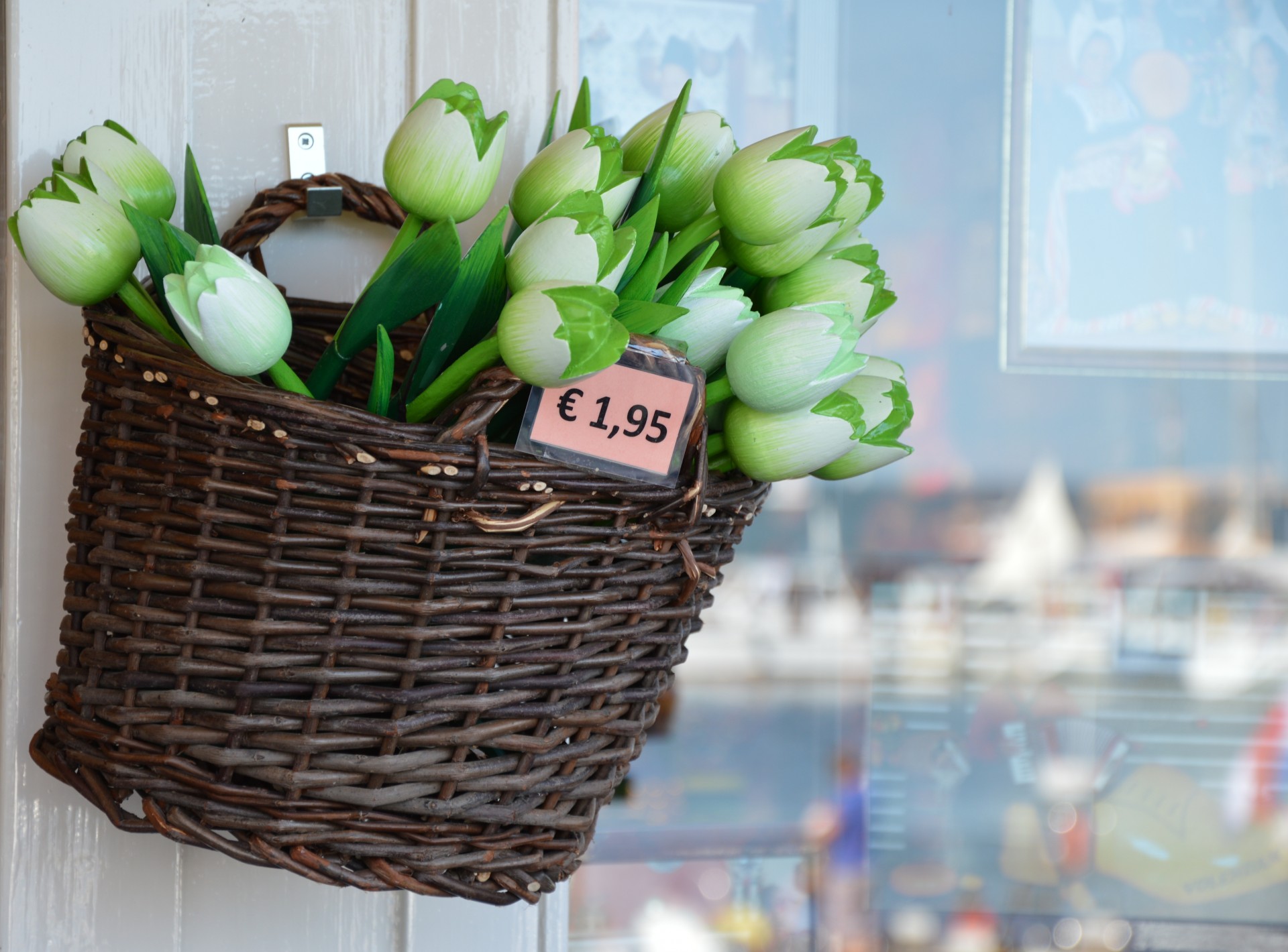 tulips tourists holland free photo