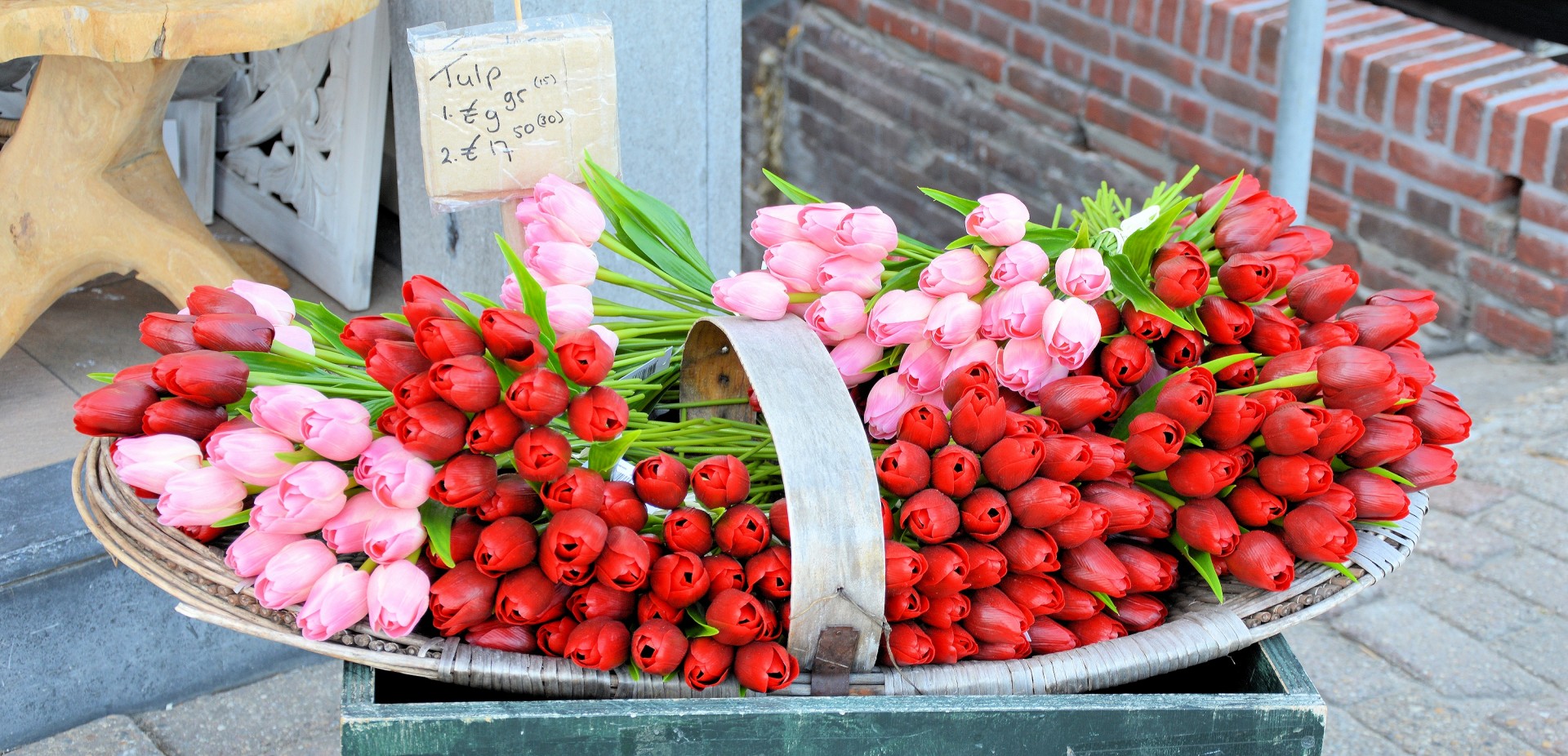 tulips holland tourists free photo