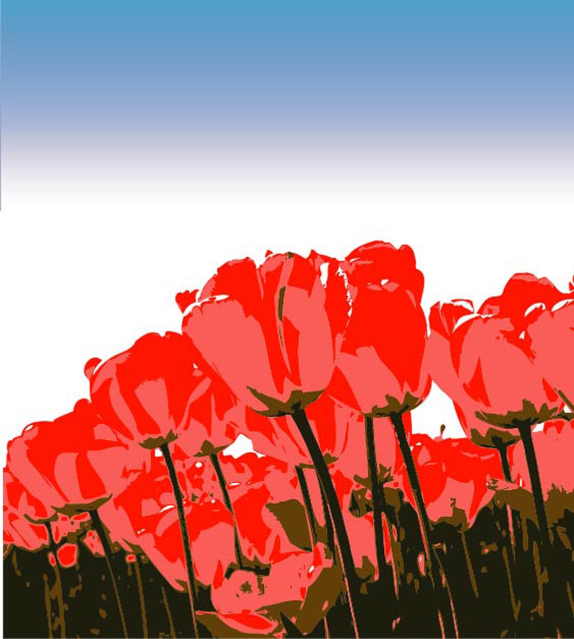 tulips vectors illustration free photo