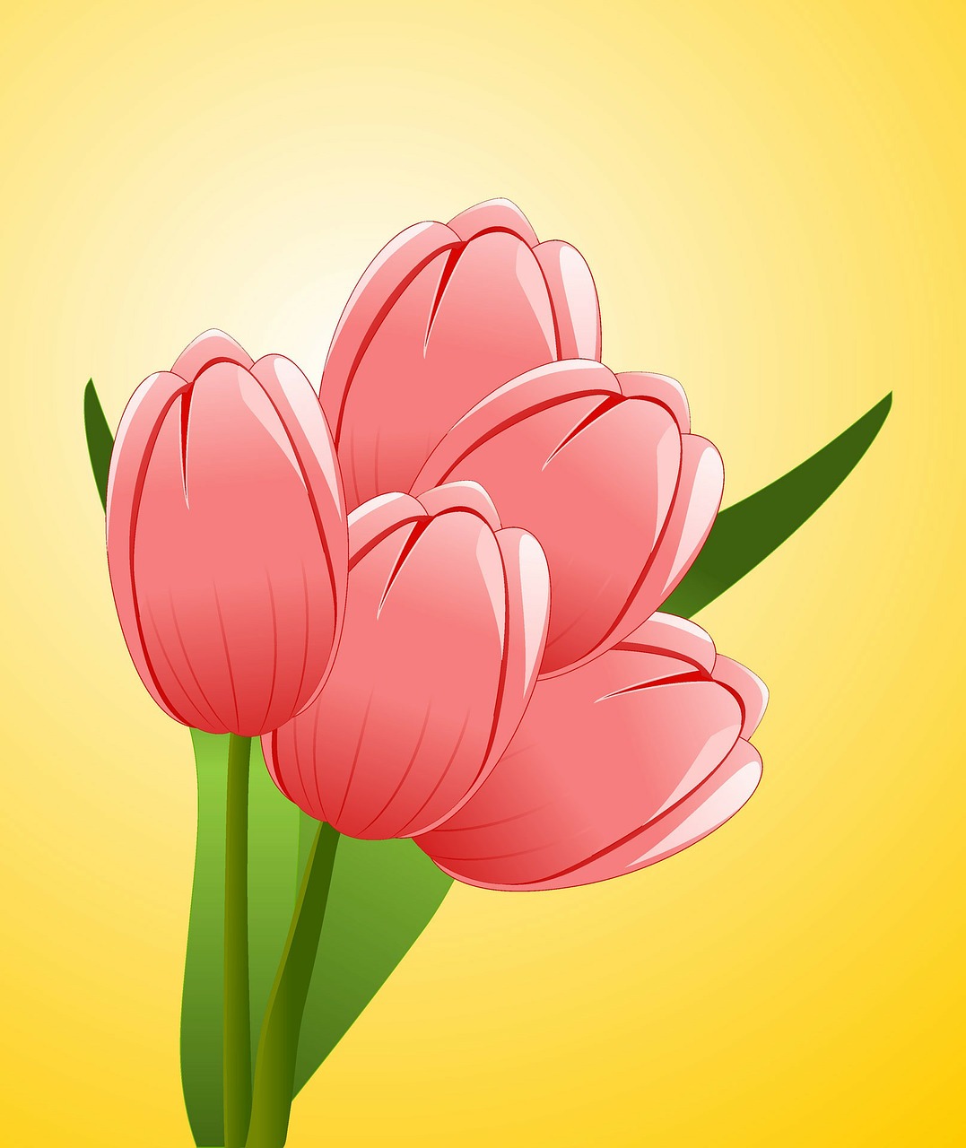 tulips flowers bouquet free photo