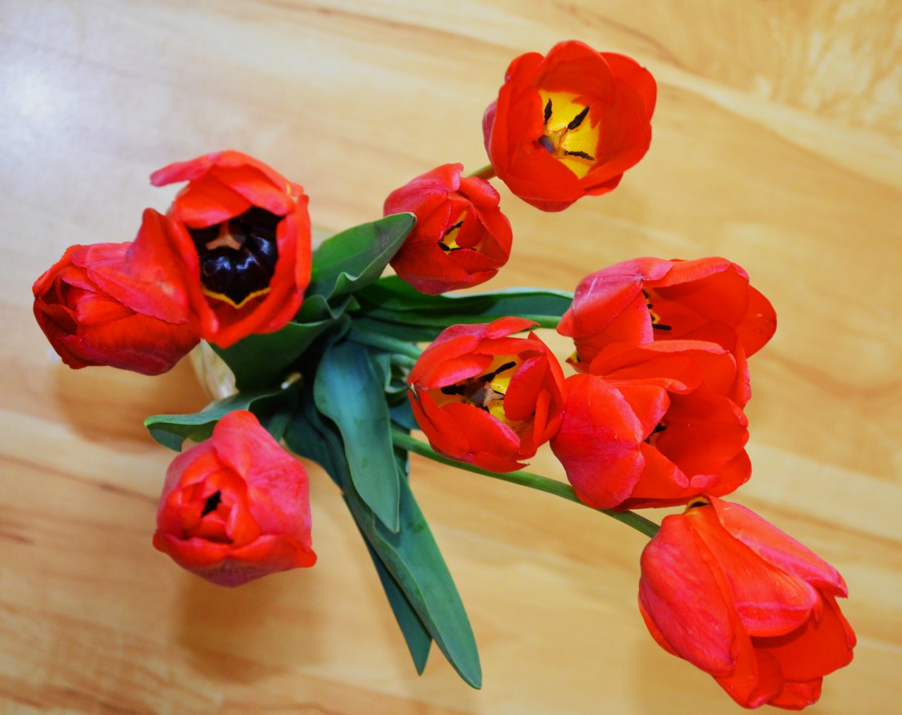 tulips flowers bouquet free photo