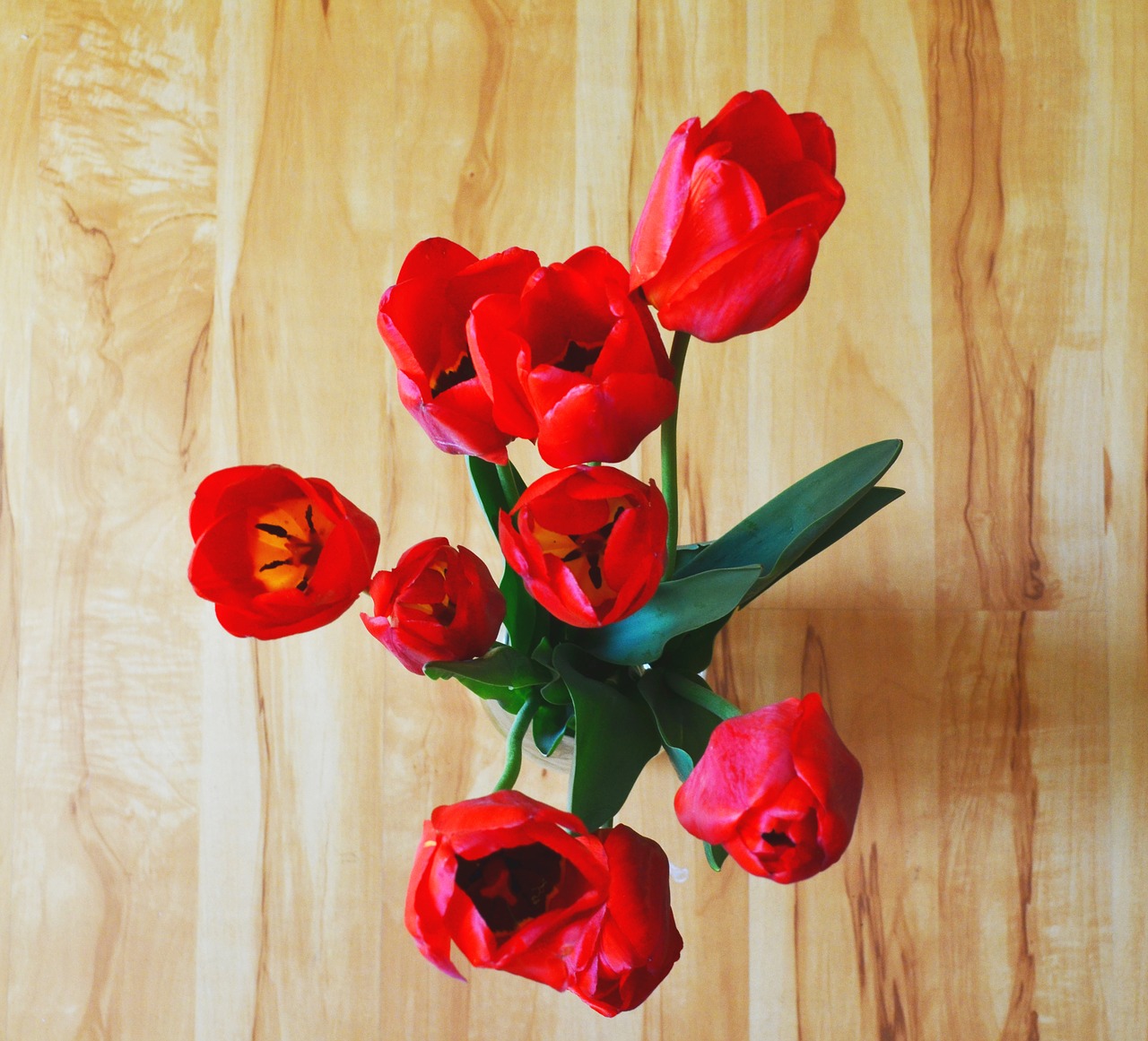 tulips flowers bouquet free photo