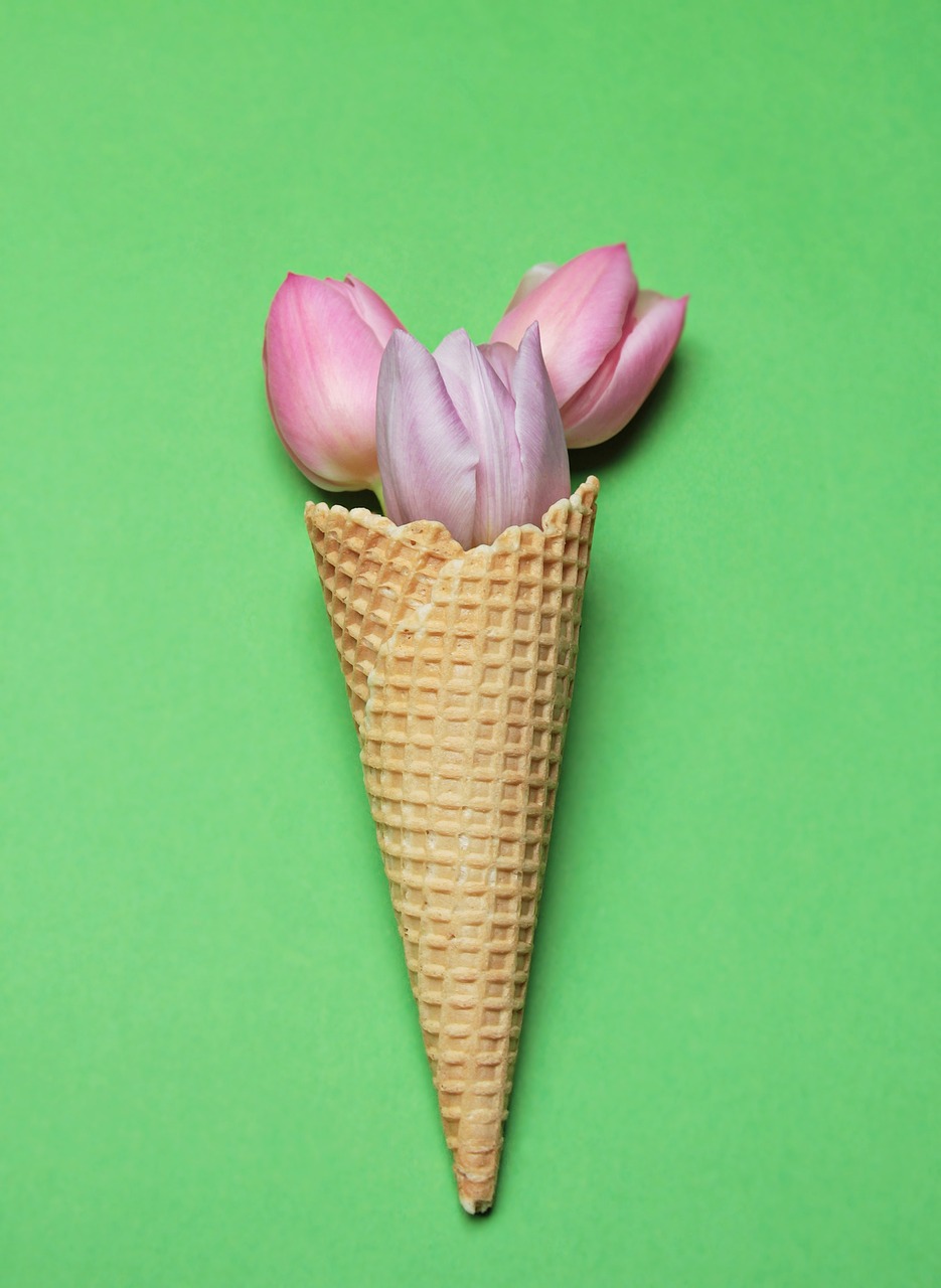 tulips ice cream cone waffle free photo