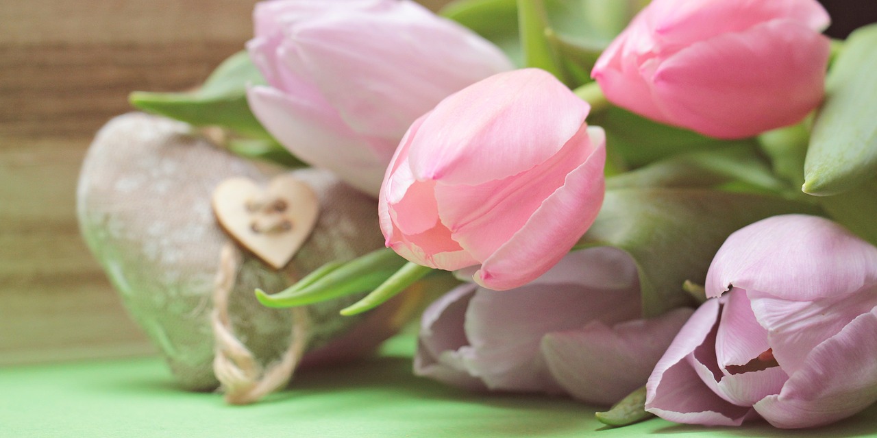 tulips flowers heart free photo