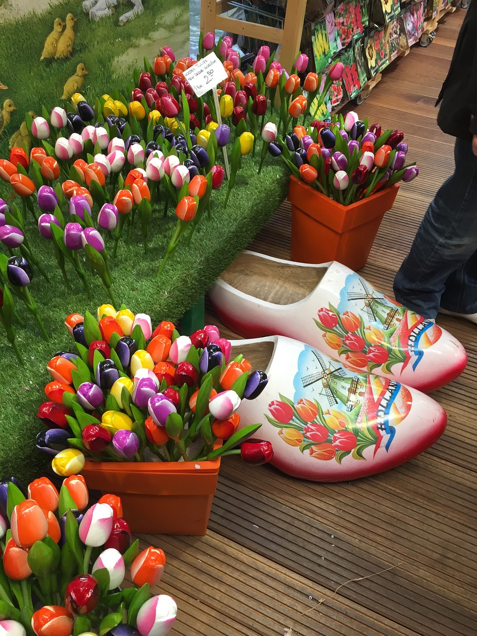 tulips shoe amsterdam free photo