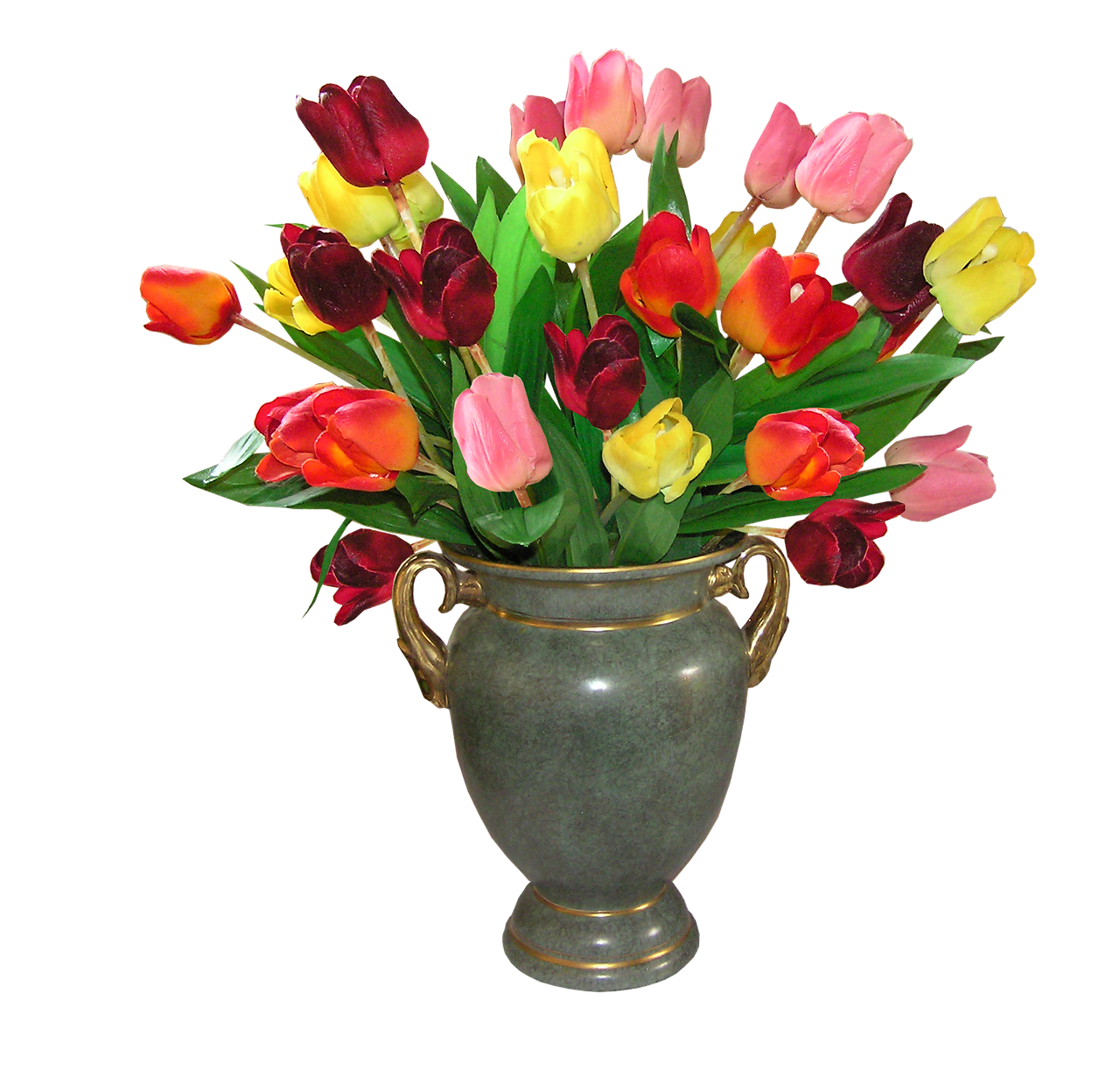 tulips flowers vase free photo