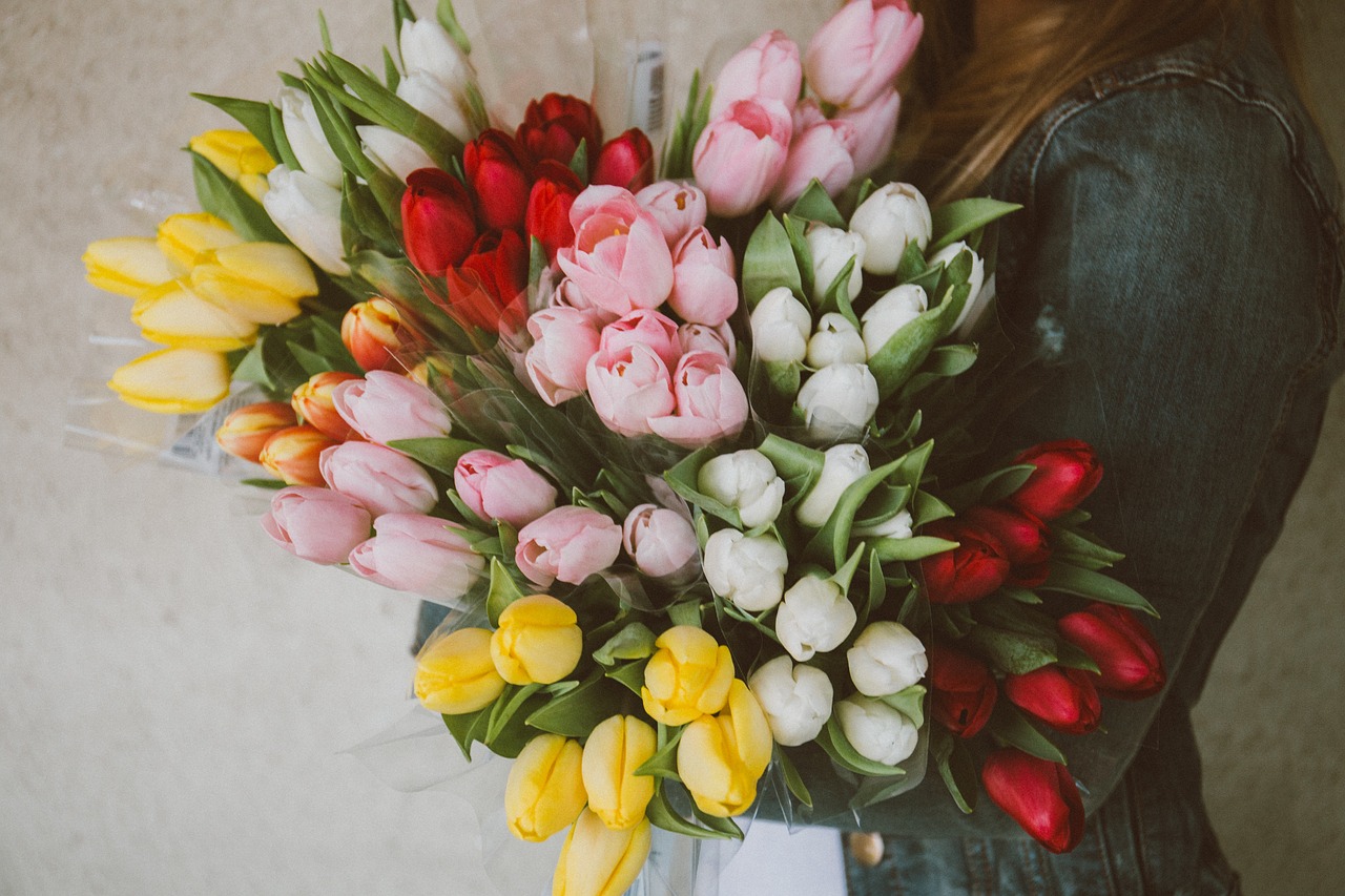 tulips flowers bouquet free photo