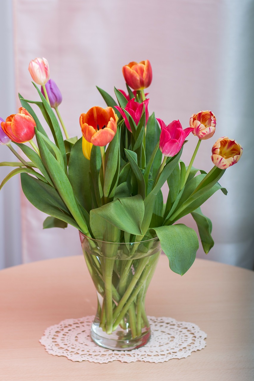 tulips federal government bouquet free photo