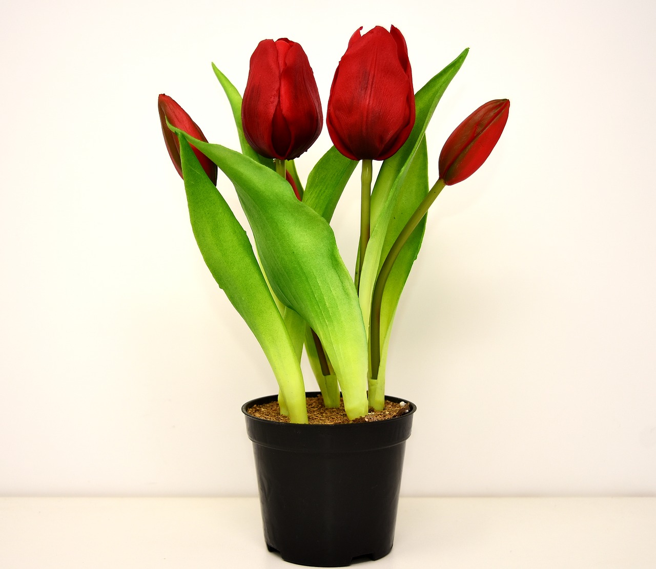 tulips flowers artificial free photo