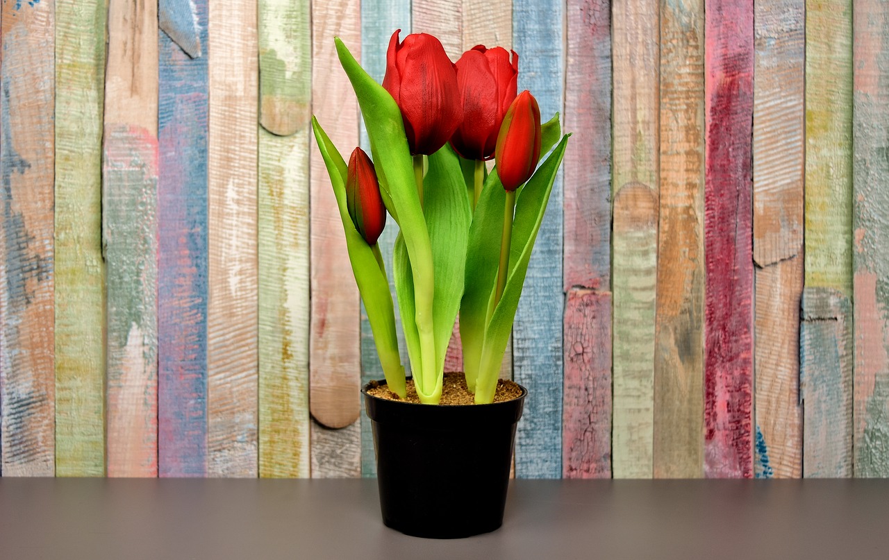 tulips flowers artificial free photo