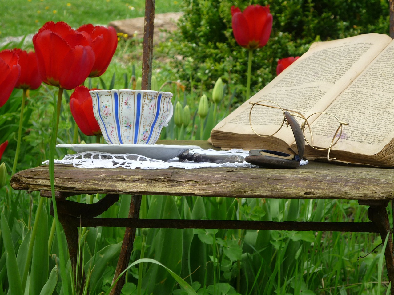 tulips book glasses free photo