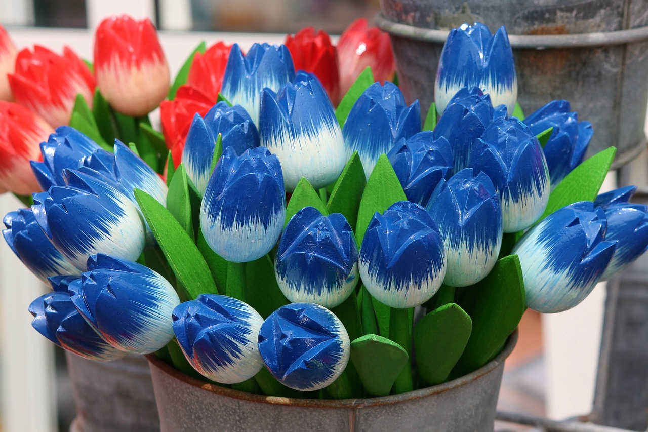 tulips  wooden tulips  decoration free photo
