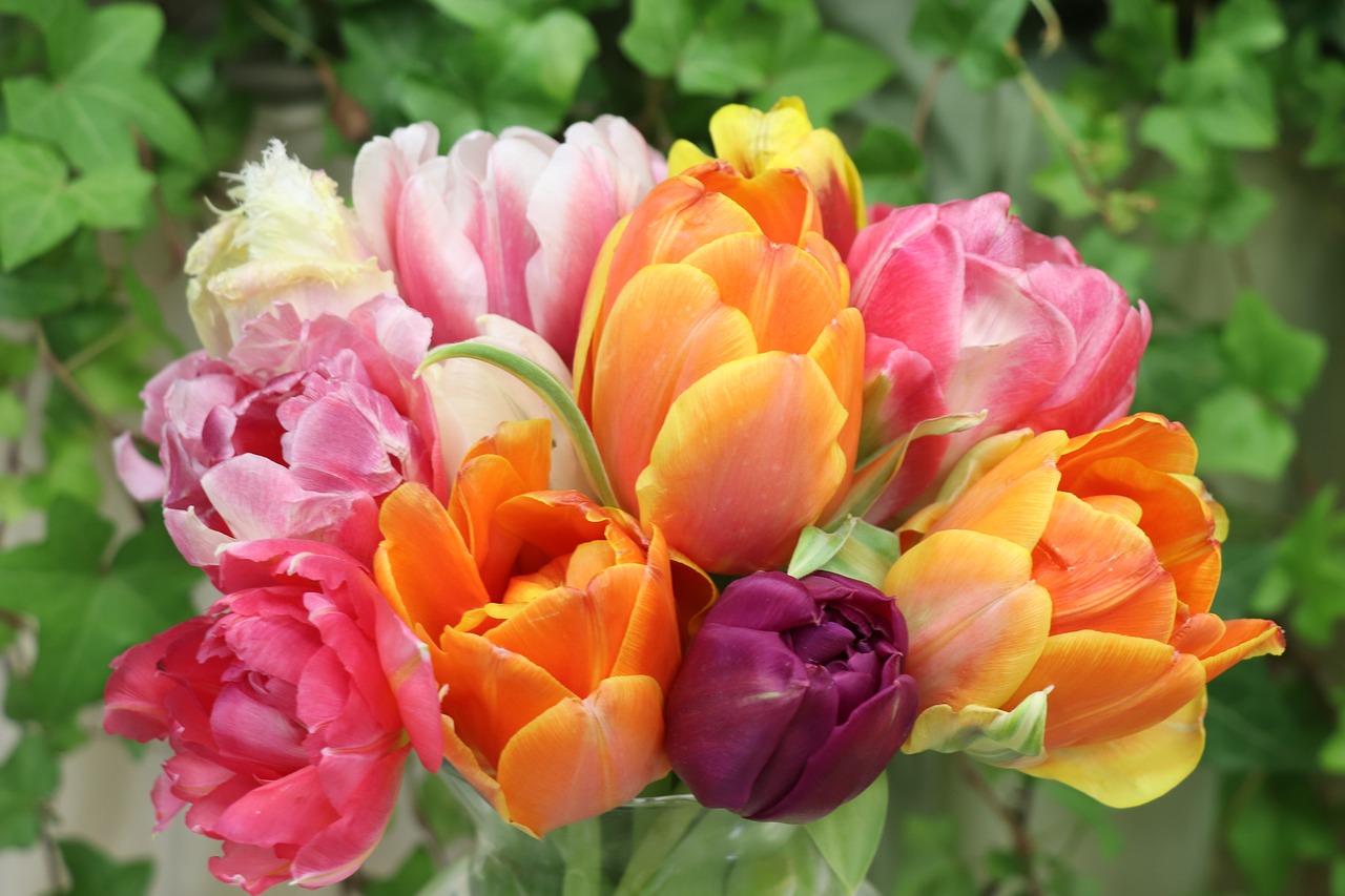 tulips  bouquet  flowers free photo