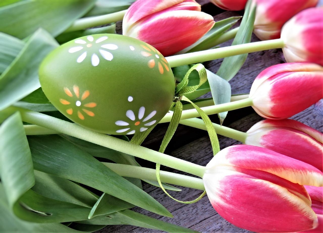 tulips  easter egg  flowers free photo