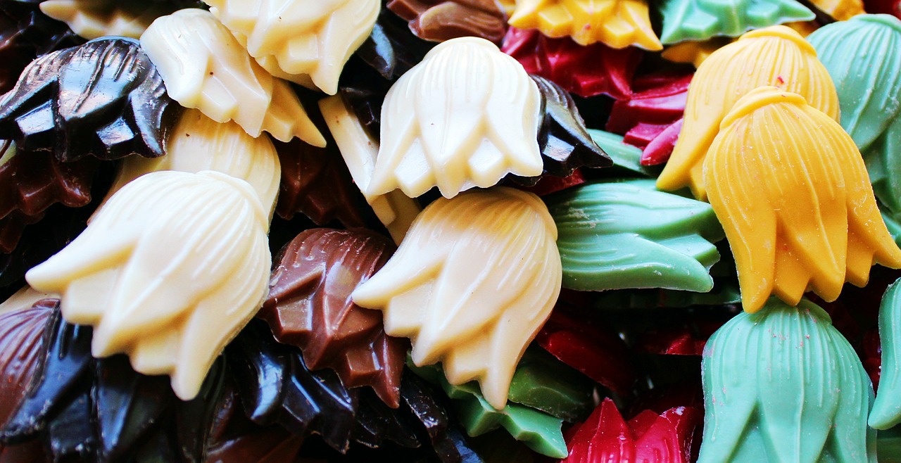 tulips chocolate colorful free photo