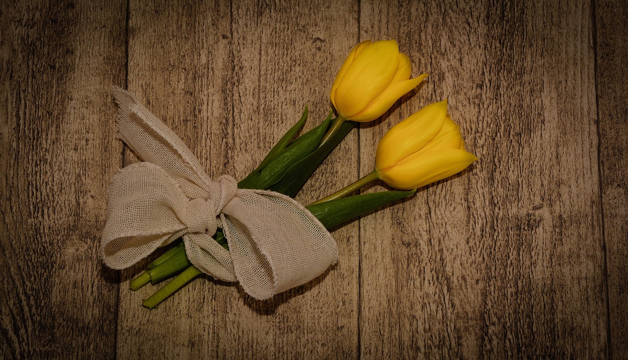 tulips cut flowers yellow free photo