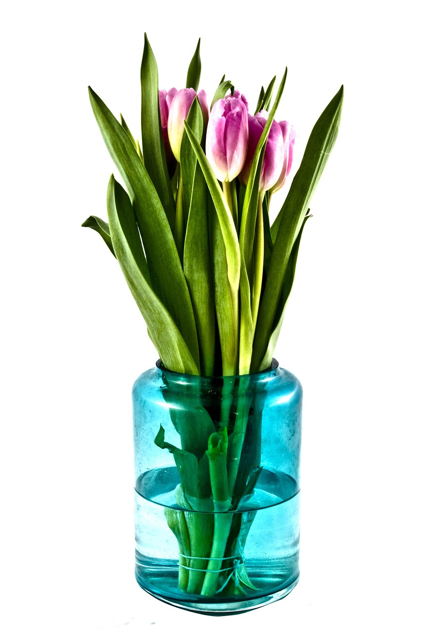 tulips bouquet flowers free photo