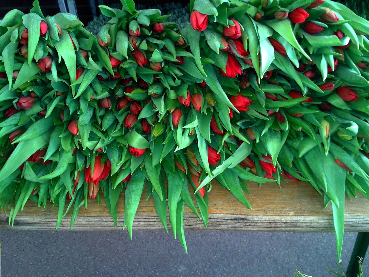 tulips bouquets tulips market stall free photo