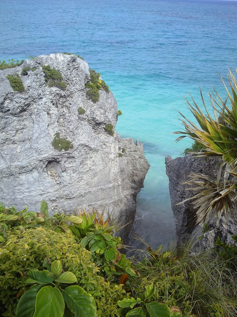 tulum sea water free photo