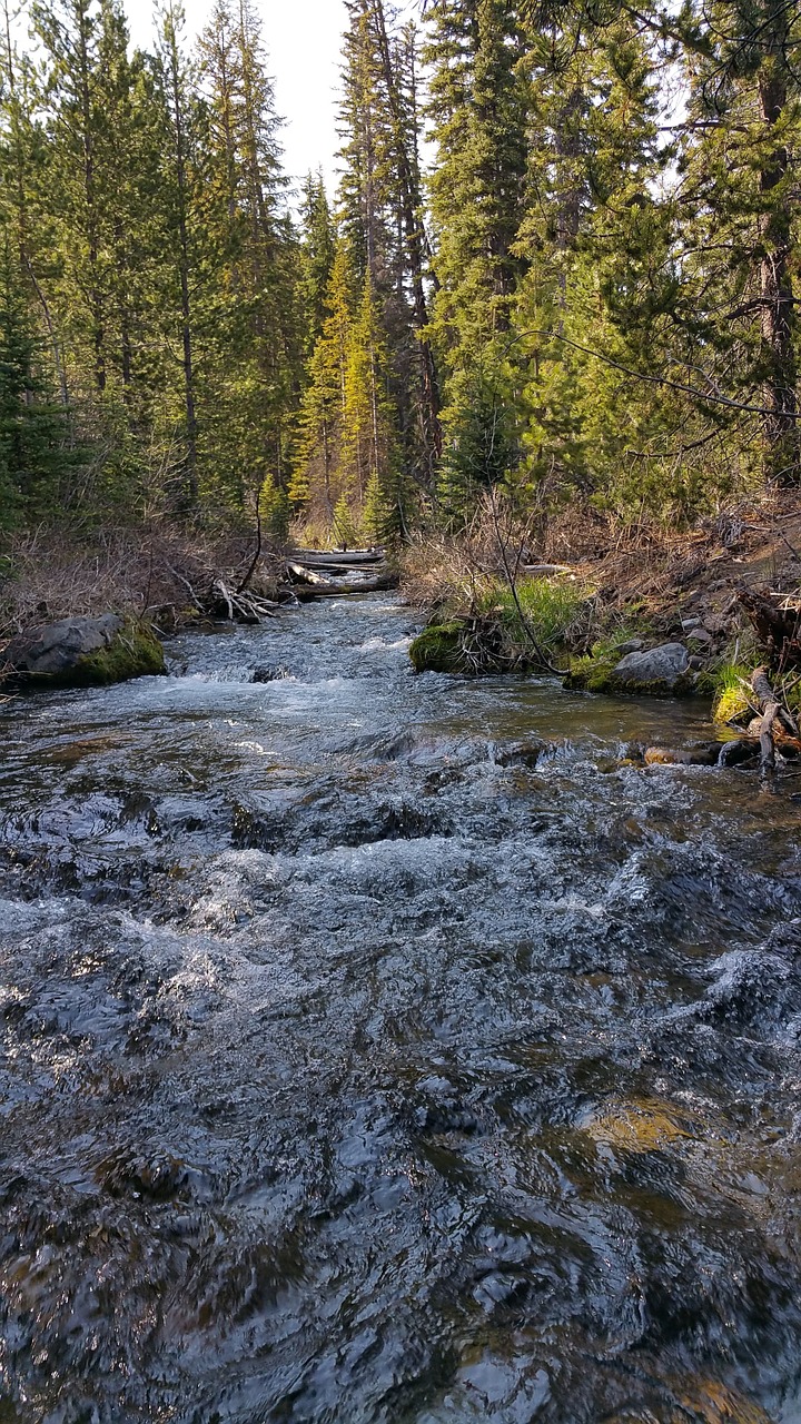 tumalo falls hiking deschutes free photo