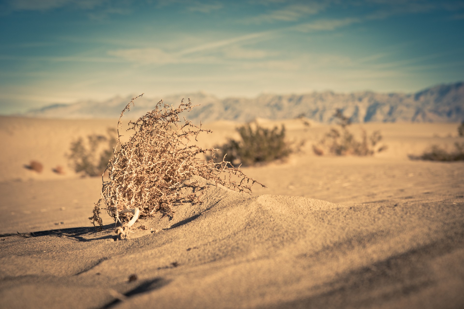 death death valley national park alone free photo