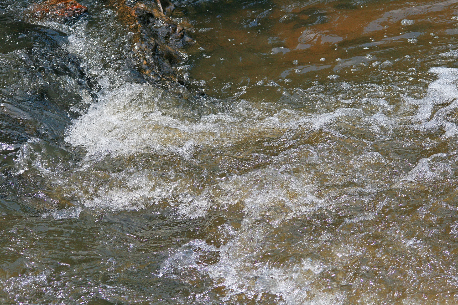 river water flowing free photo