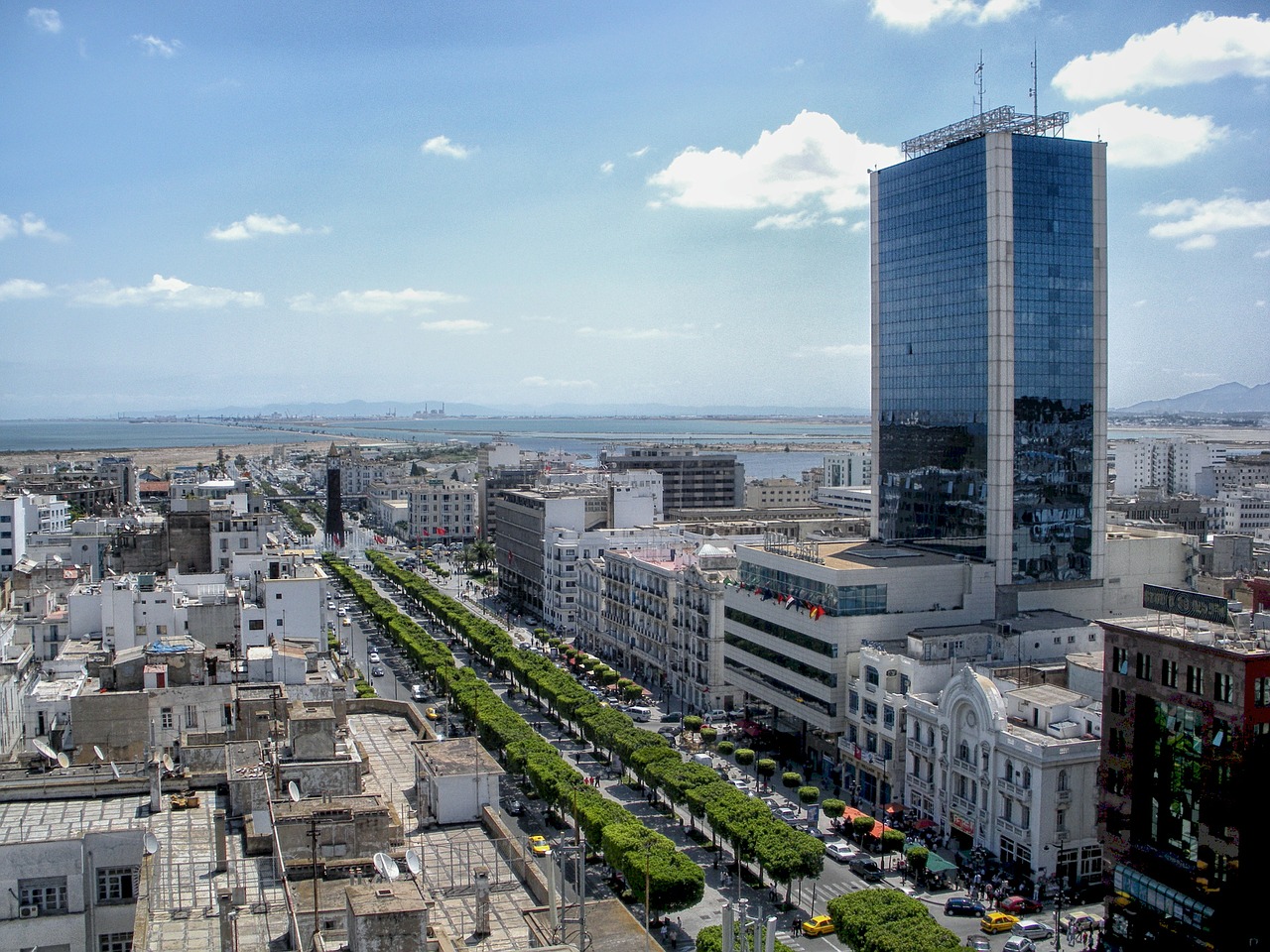 tunis tunisia cityscape free photo