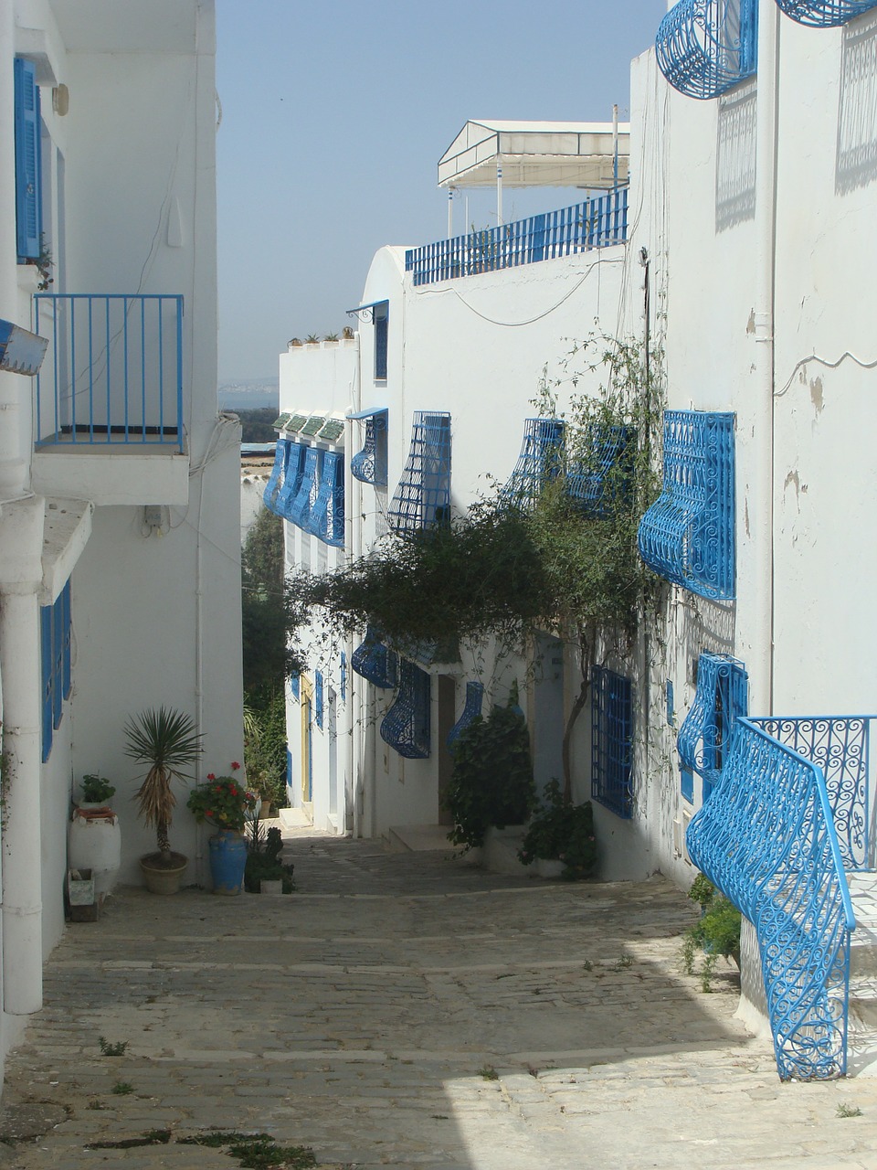 tunisia arabic houses free photo