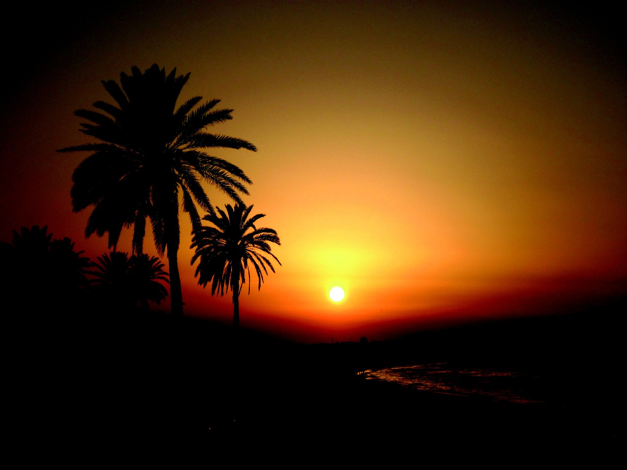 tunisia sunset holiday free photo