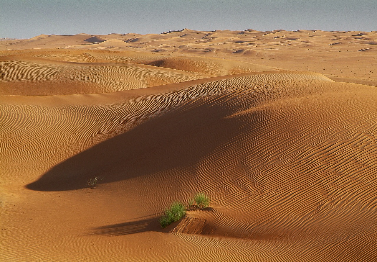 tunisia sahara desert free photo