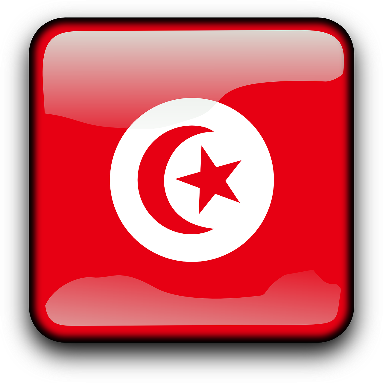 tunisia flag country free photo
