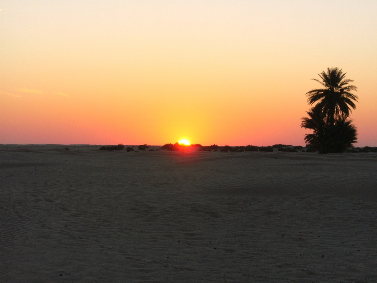 tunisia desert sunset free photo