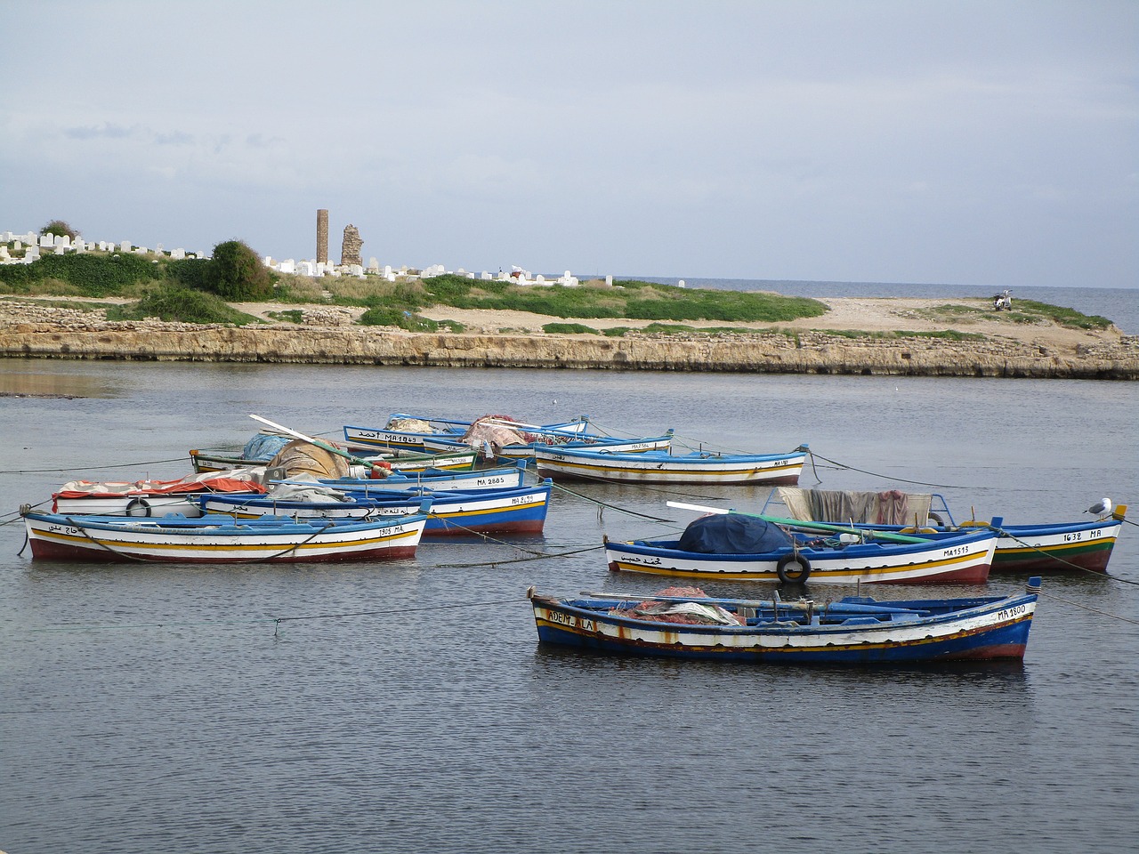 tunisia mahdia port free photo