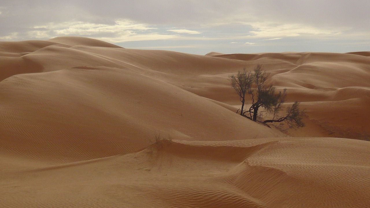 tunisia desert sand free photo