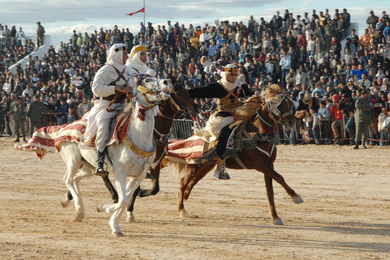 tunisia horse racing douz free photo