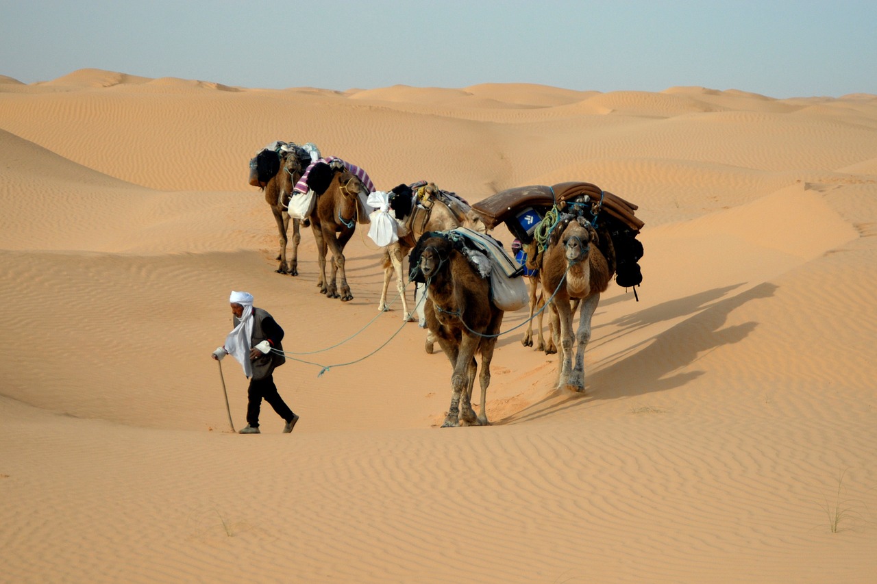 tunisia caravan desert free photo
