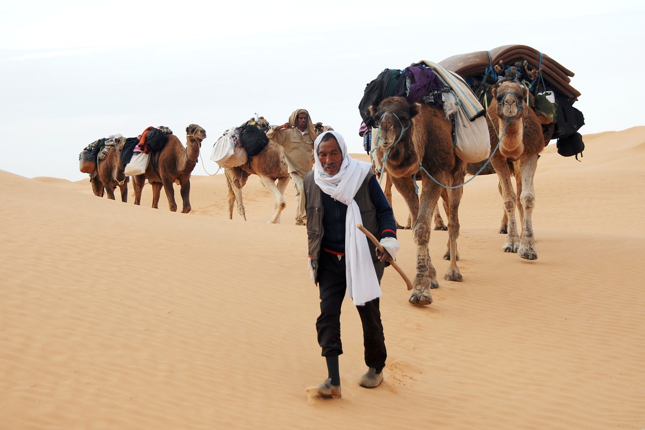 tunisia bedouin desert free photo