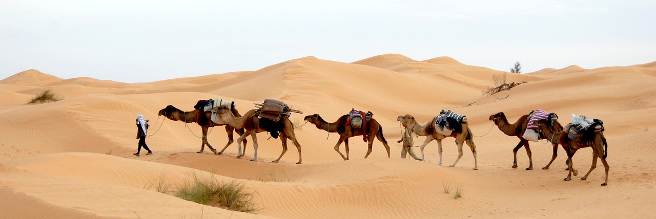 tunisia desert caravan free photo