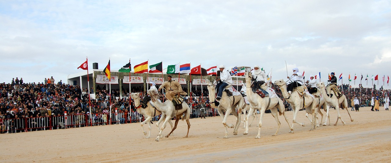 tunisia camel racing festival free photo