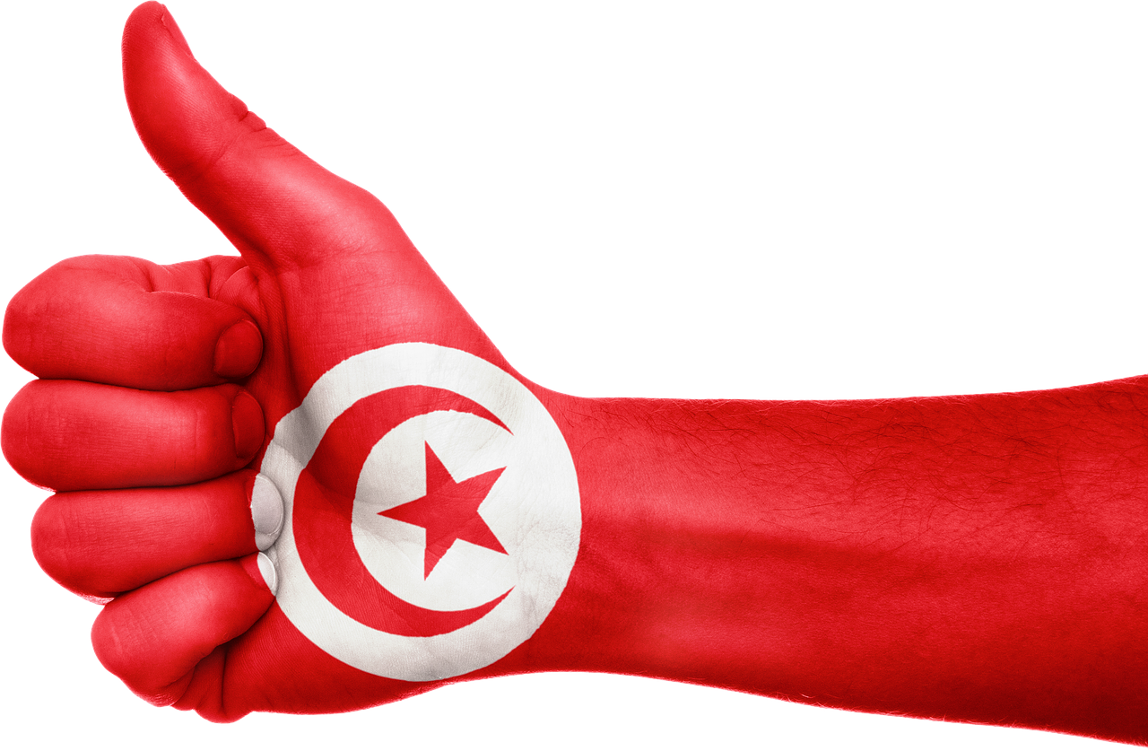 tunisia flag hand free photo