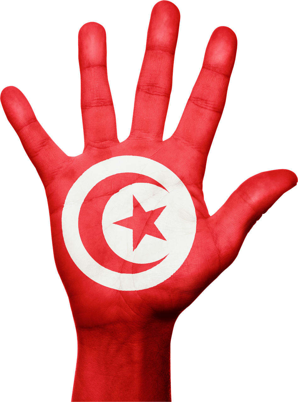 tunisia flag hand free photo