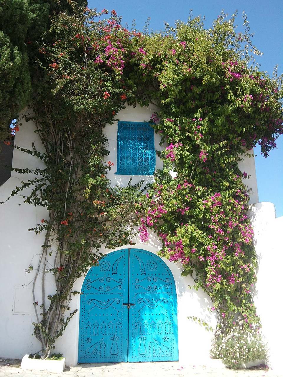 tunisia door flowers free photo