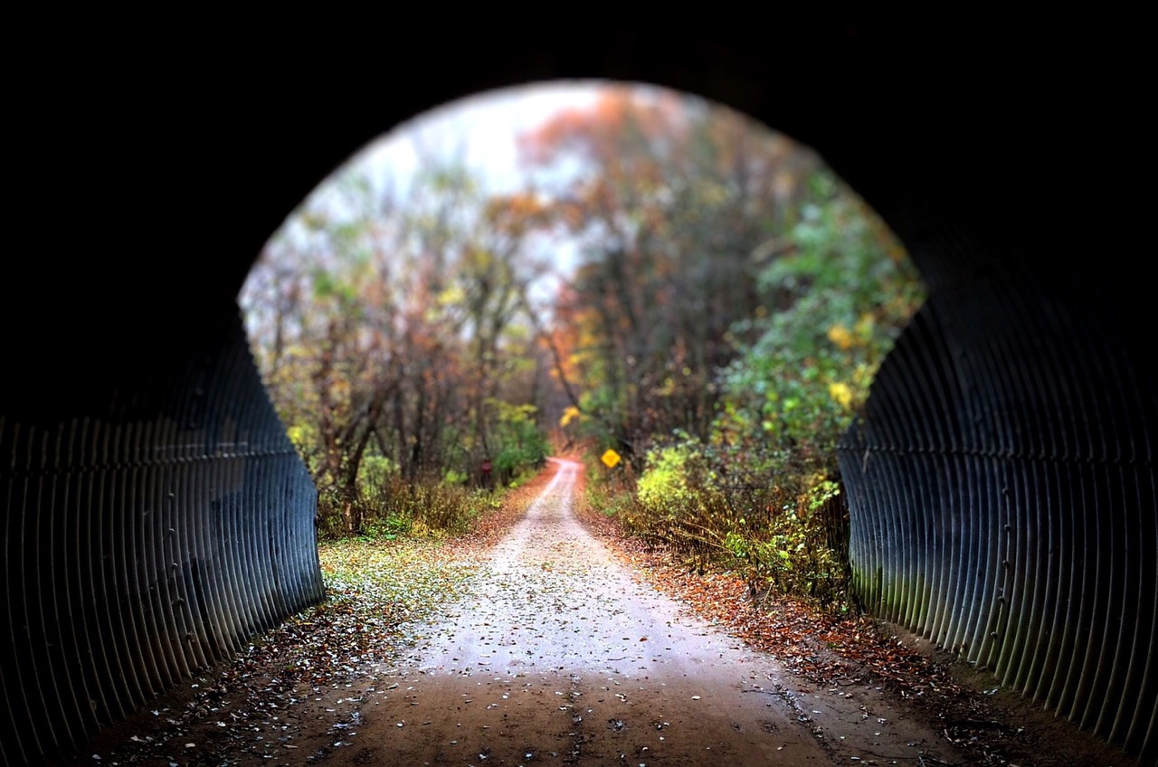 tunnel trail woods free photo