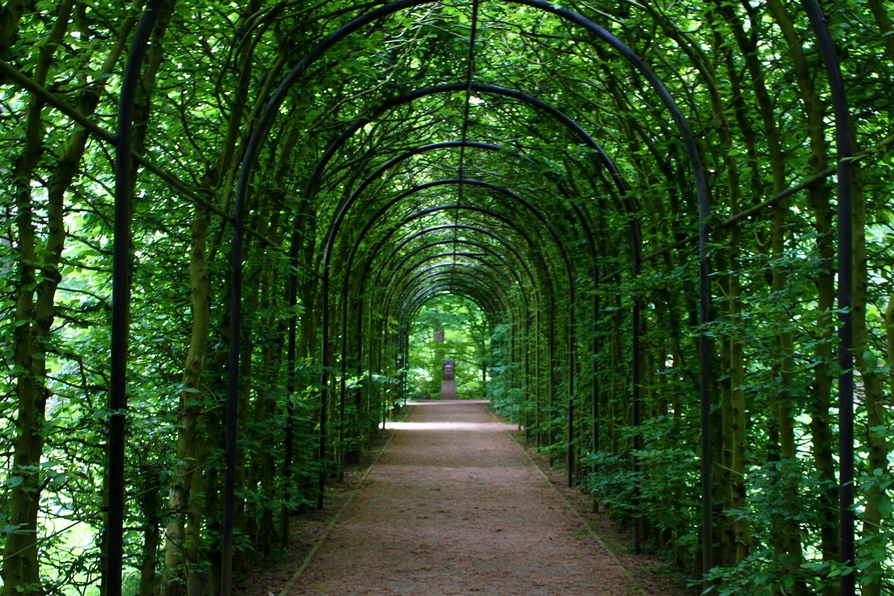 tunnel tunnel of plants promenade free photo