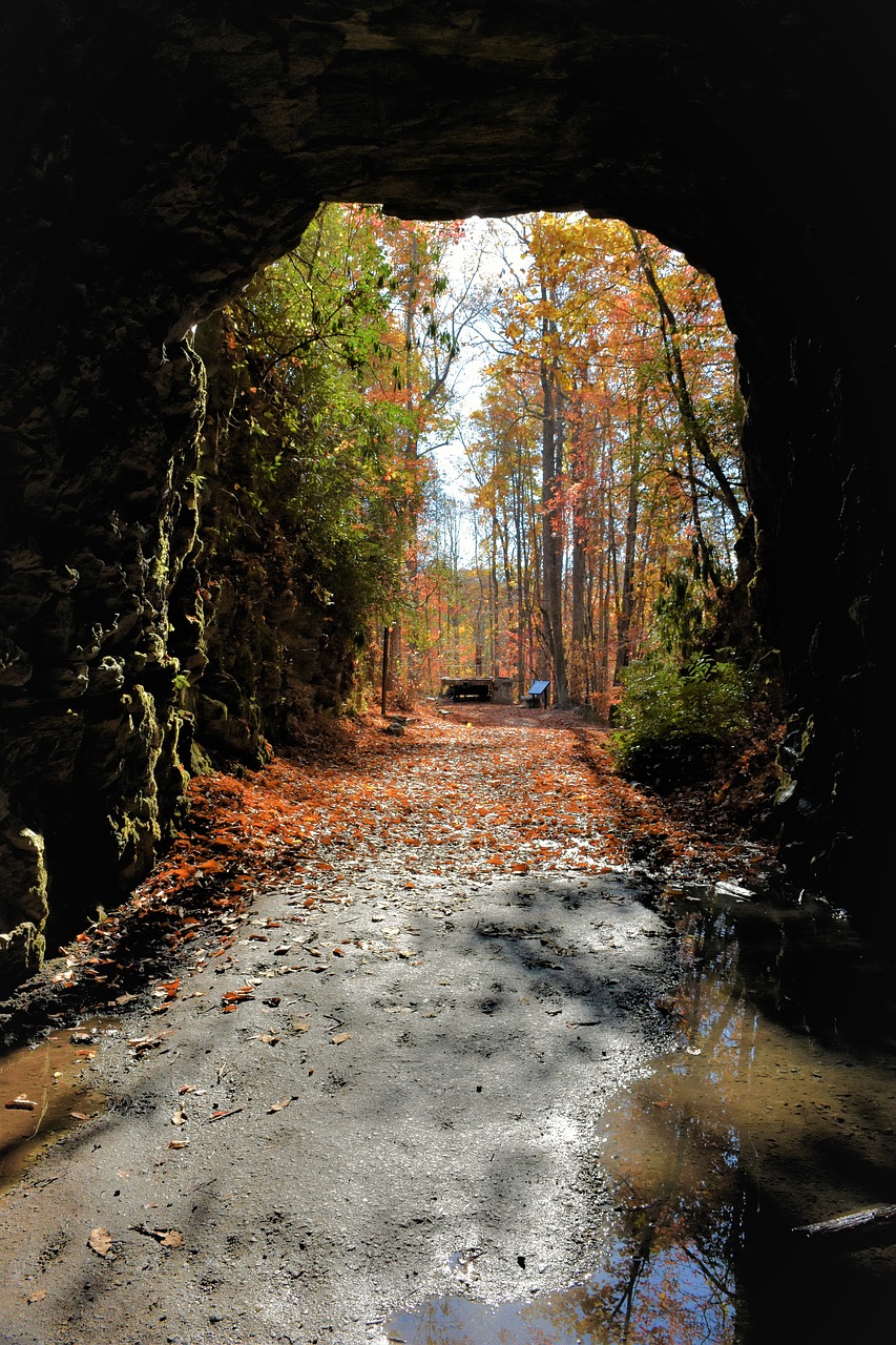 tunnel autumn fall free photo