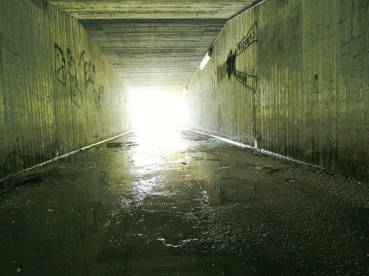 tunnel concrete underpass free photo