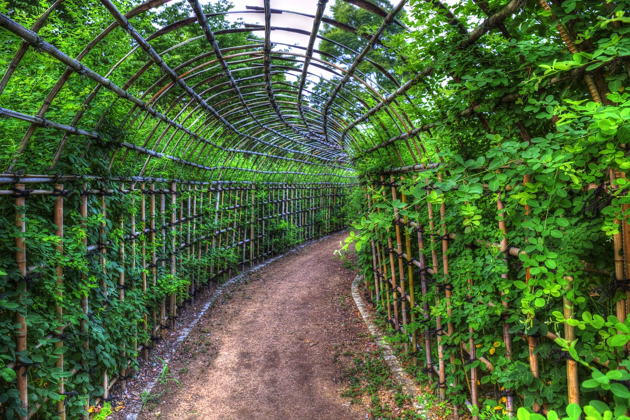 tunnel flowers park free photo