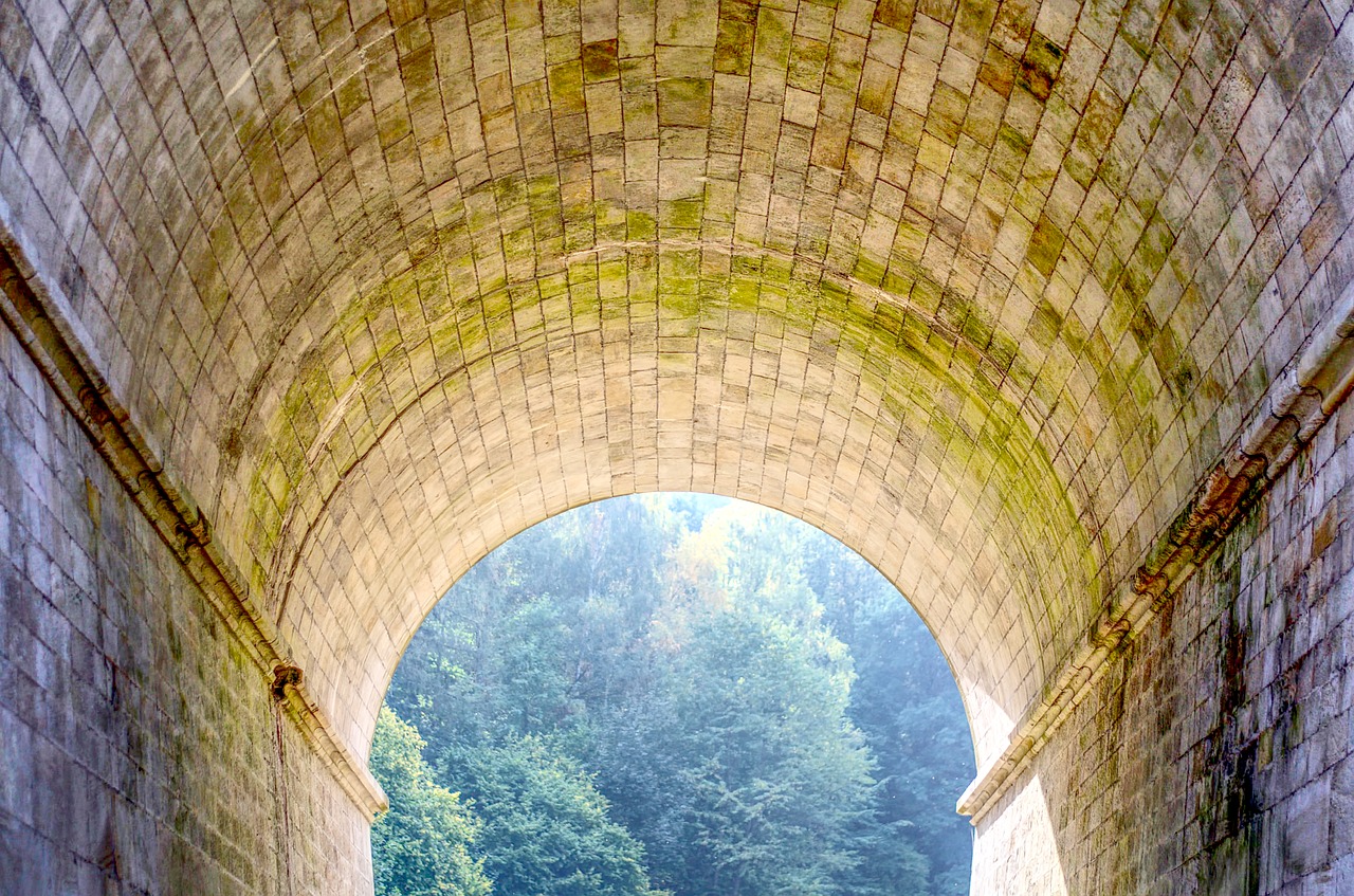 tunnel  nature  autumn free photo